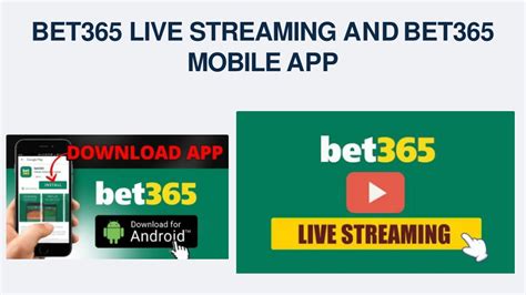 bet365 ipl cricket live streaming